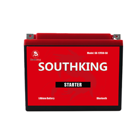 SK-12V30-S8